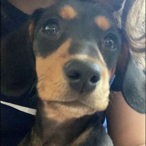 Meet your Posher, Gianna